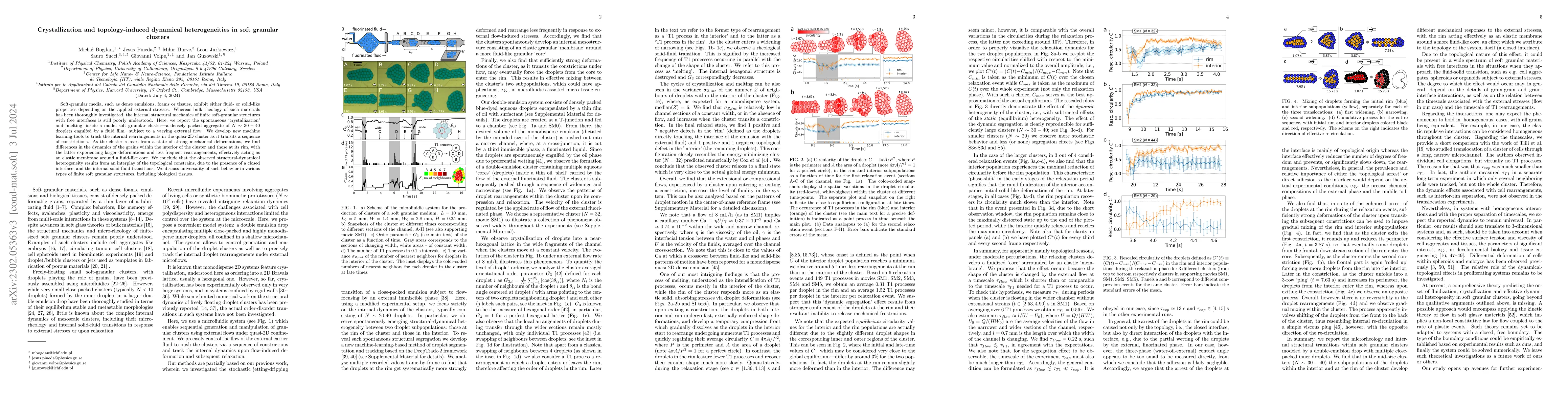 Thumbnail for Crystallization and topology-induced dynamical heterogeneities in soft
  granular clusters
