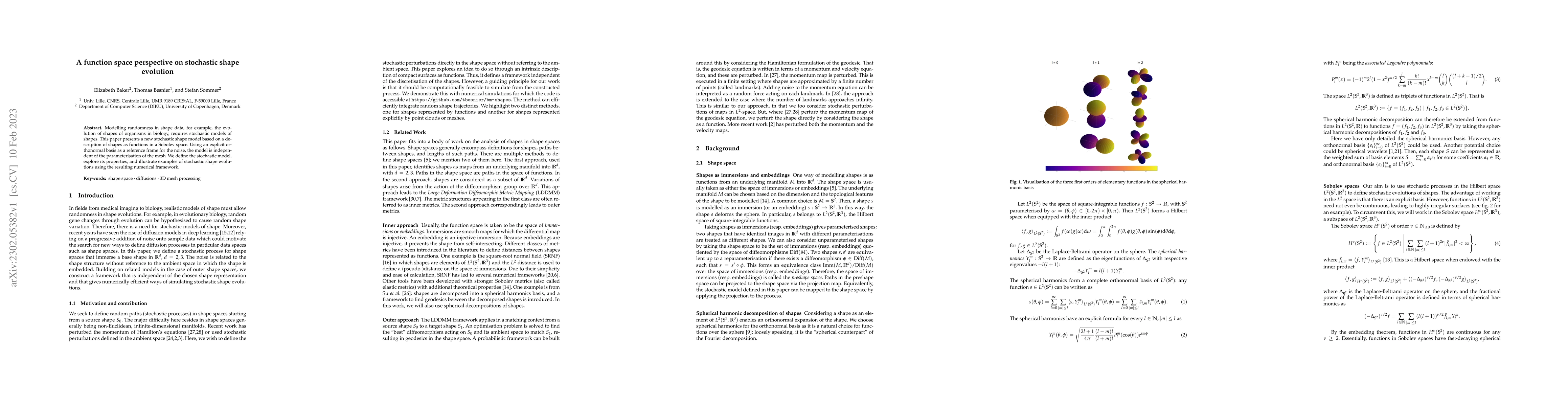 Thumbnail for A function space perspective on stochastic shape evolution