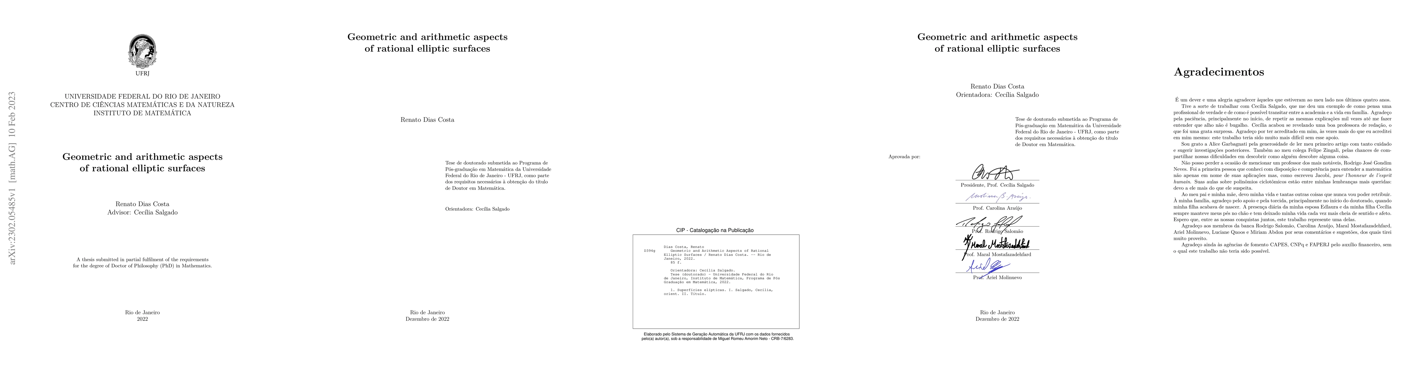 Thumbnail for Geometric and arithmetic aspects of rational elliptic surfaces