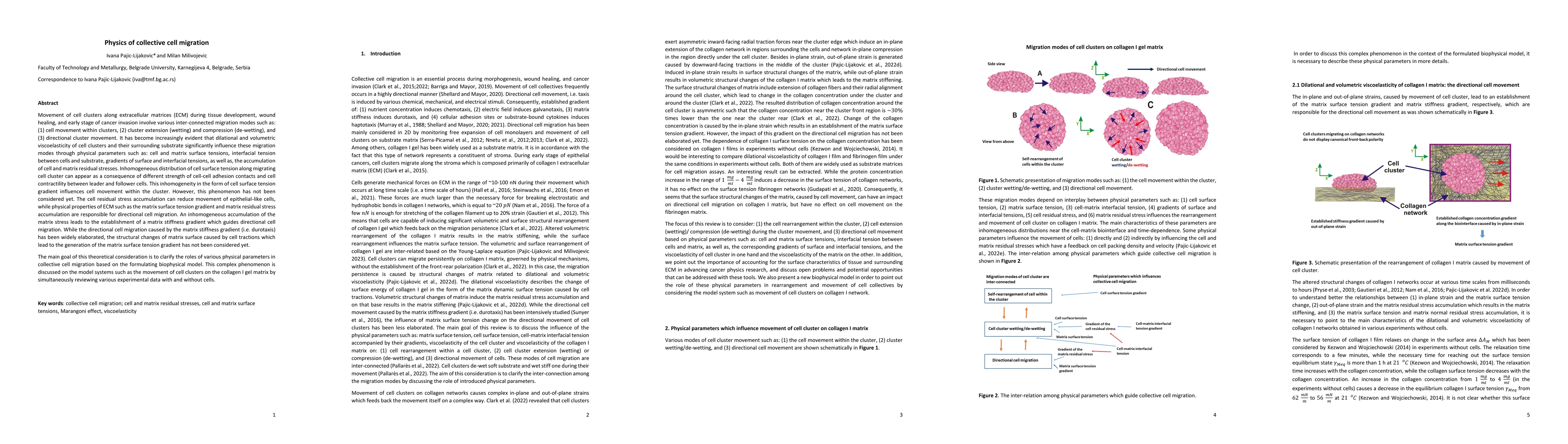 Thumbnail for Physics of collective cell migration