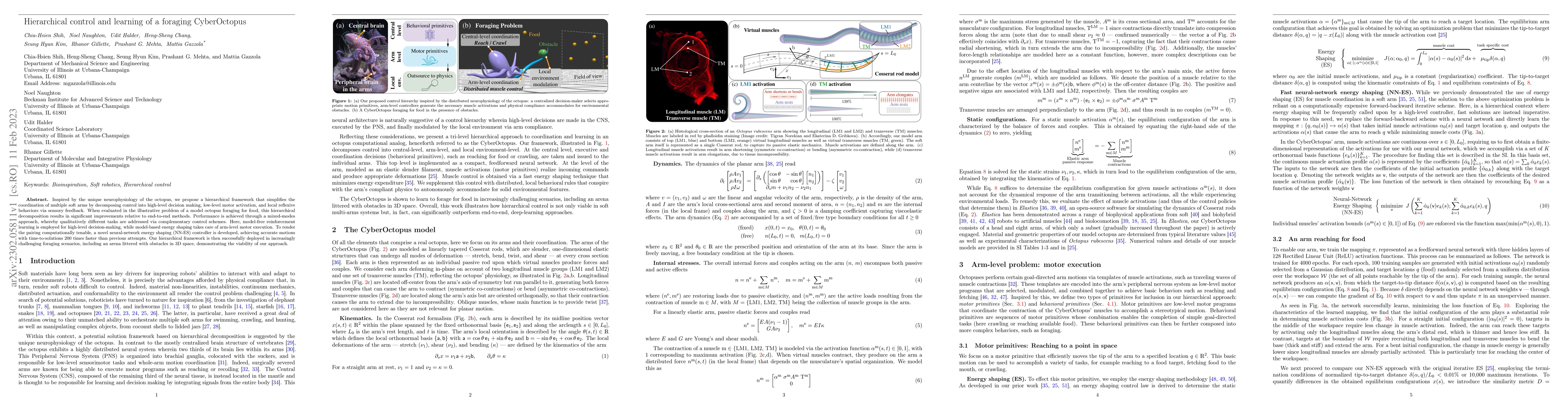 Thumbnail for Hierarchical control and learning of a foraging CyberOctopus