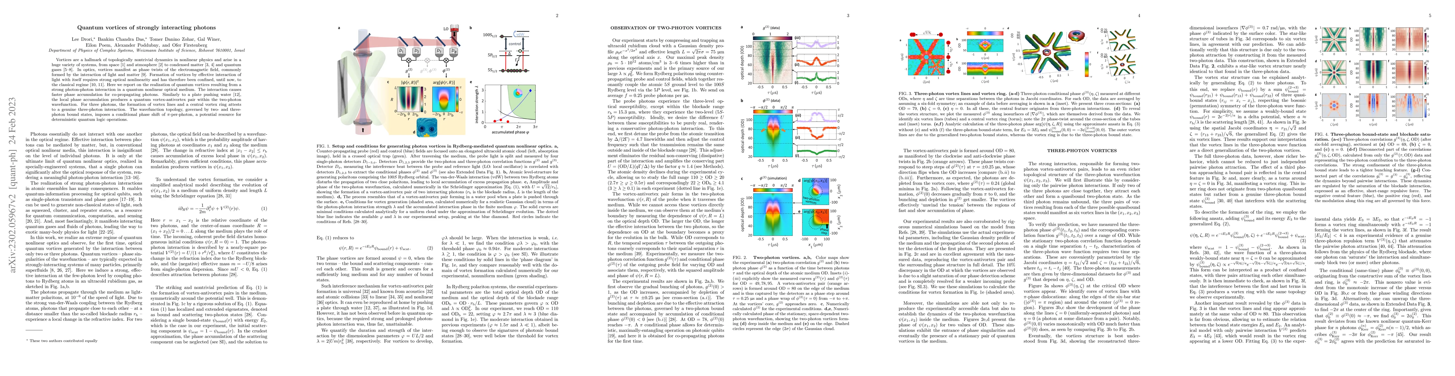 Thumbnail for Quantum vortices of strongly interacting photons