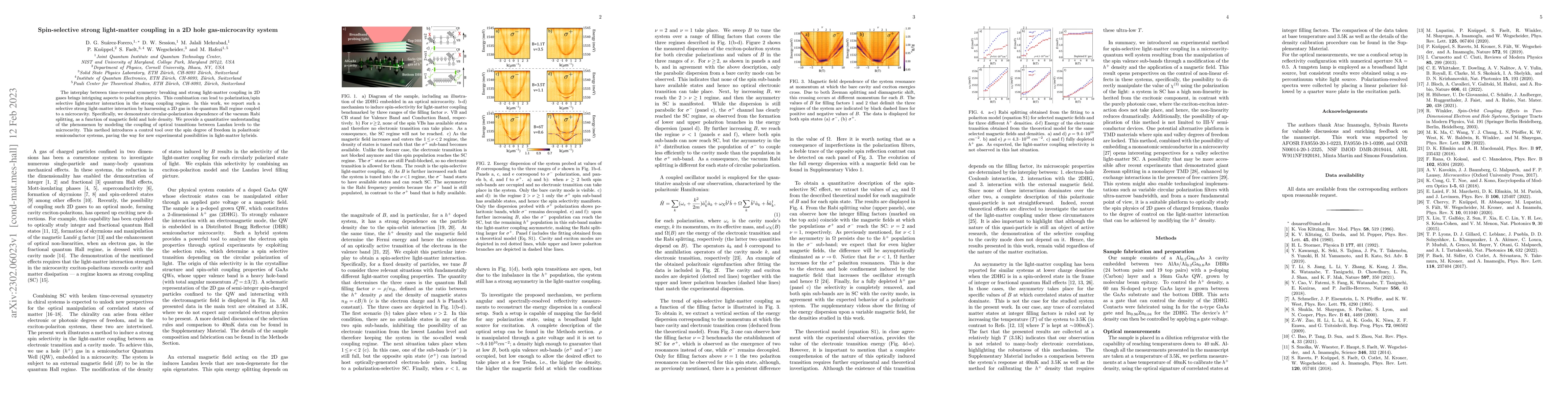 Thumbnail for Spin-selective strong light-matter coupling in a 2D hole gas-microcavity
  system