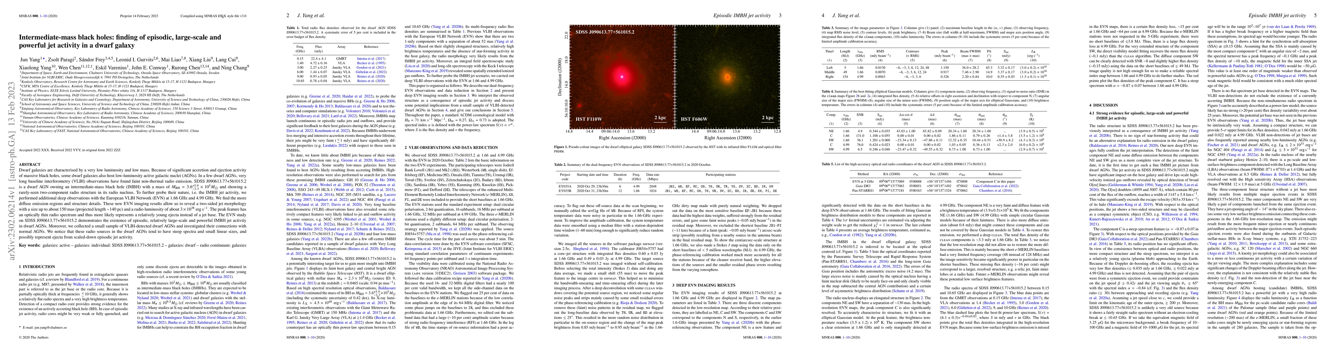 Thumbnail for Intermediate-mass black holes: finding of episodic, large-scale and
  powerful jet activity in a dwarf galaxy