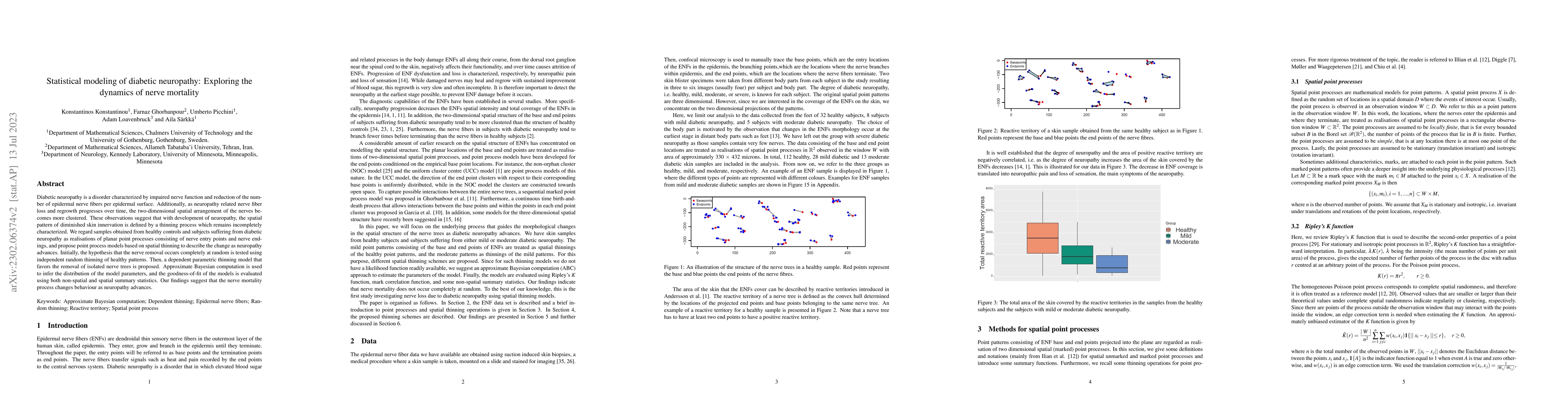 Thumbnail for Statistical modeling of diabetic neuropathy: Exploring the dynamics of
  nerve mortality