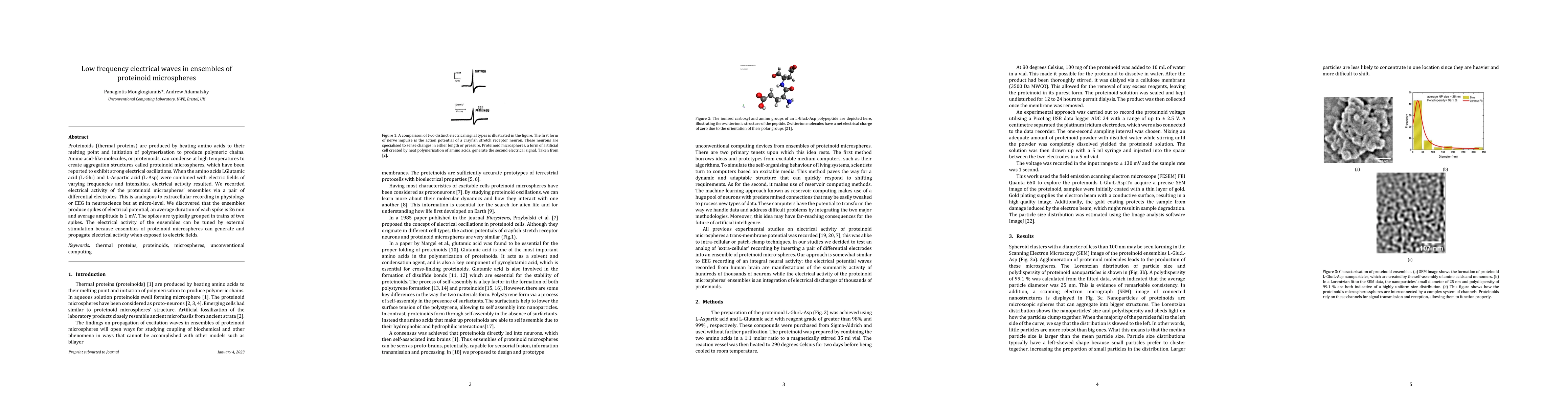 Thumbnail for Low frequency electrical waves in ensembles of proteinoid microspheres