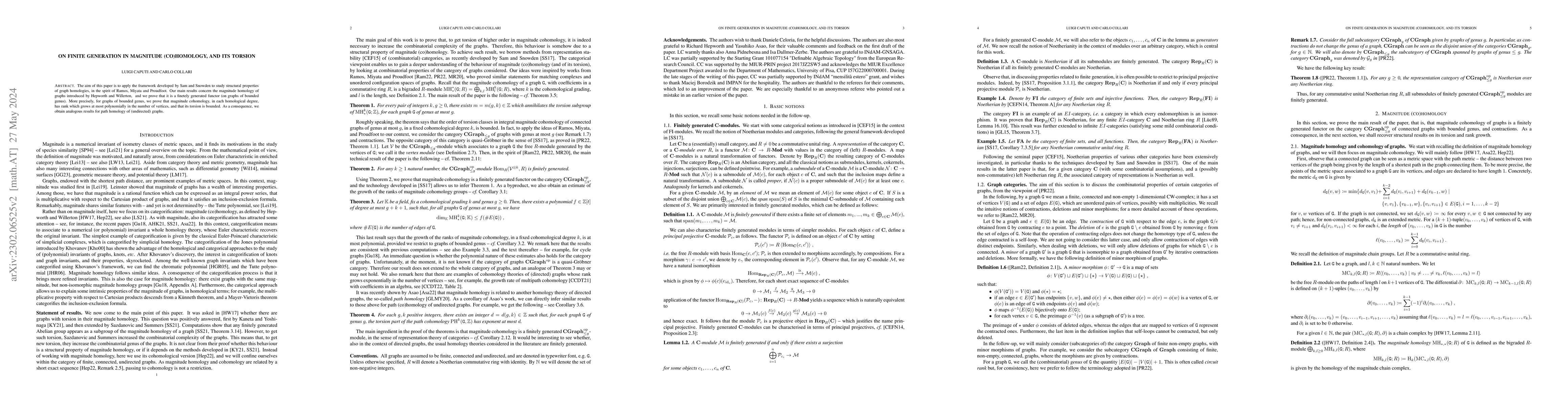 Thumbnail for On finite generation in magnitude (co)homology, and its torsion