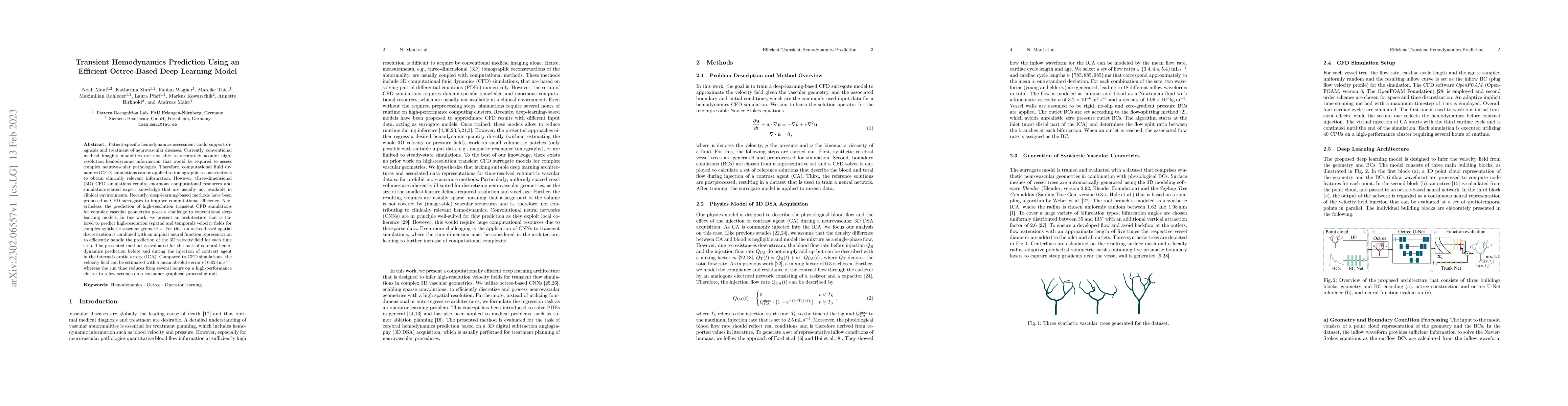 Thumbnail for Transient Hemodynamics Prediction Using an Efficient Octree-Based Deep
  Learning Model