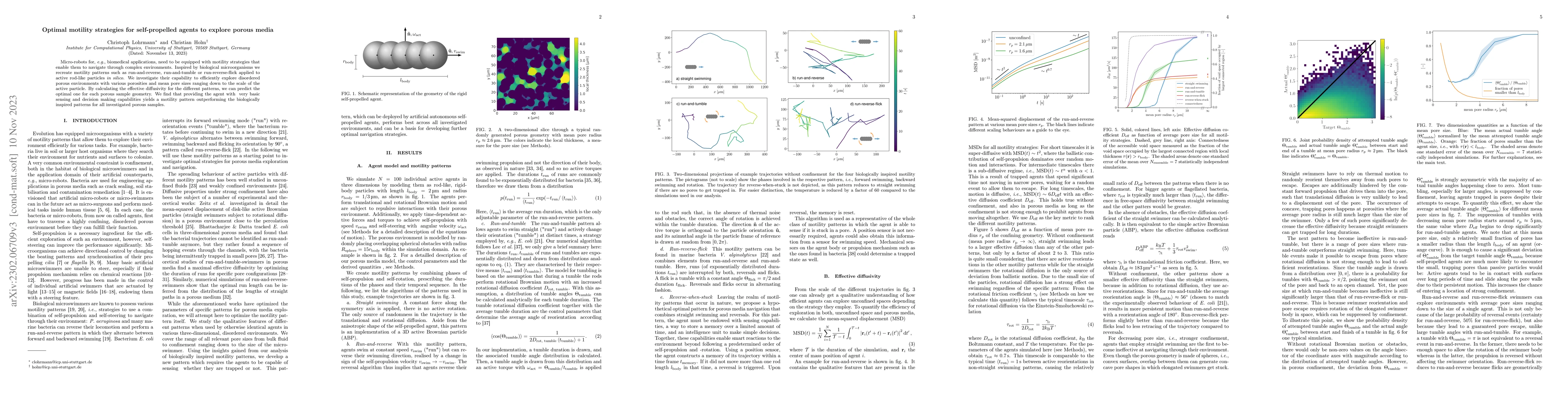 Thumbnail for Optimal motility strategies for self-propelled agents to explore porous
  media