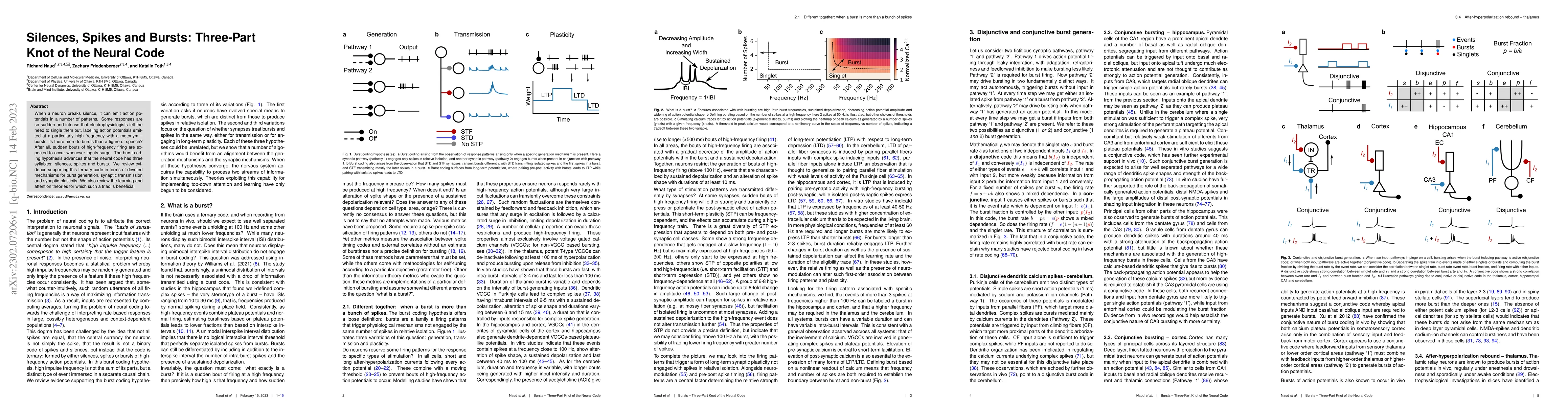 Thumbnail for Silences, Spikes and Bursts: Three-Part Knot of the Neural Code