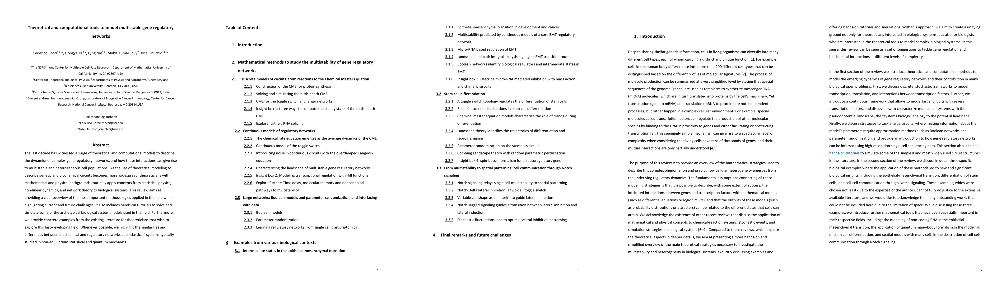 Thumbnail for Theoretical and computational tools to model multistable gene regulatory
  networks