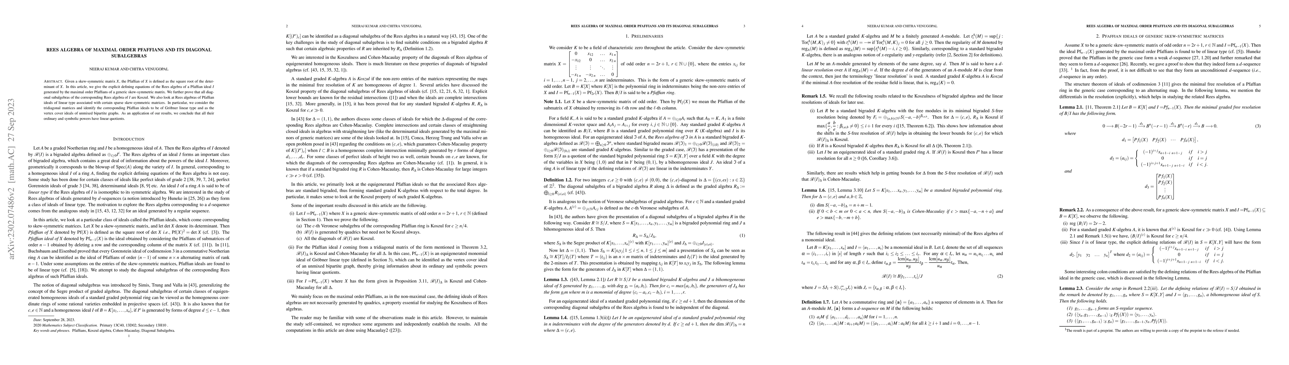 Thumbnail for Rees algebra of maximal order Pfaffians and its diagonal subalgebras