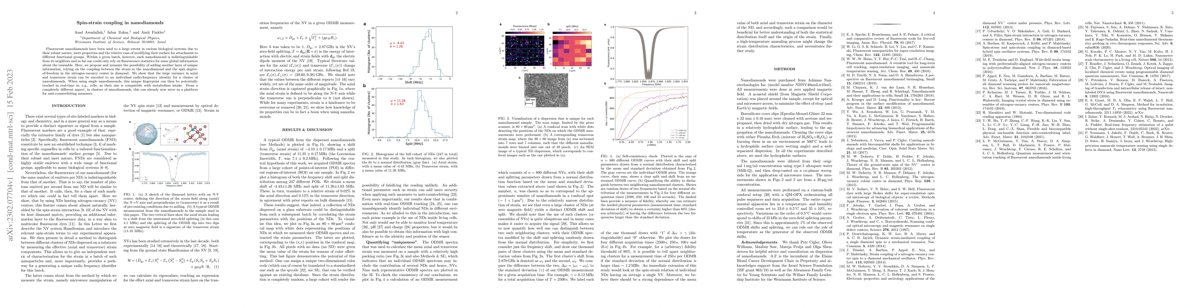 Thumbnail for Spin-strain coupling in nanodiamonds