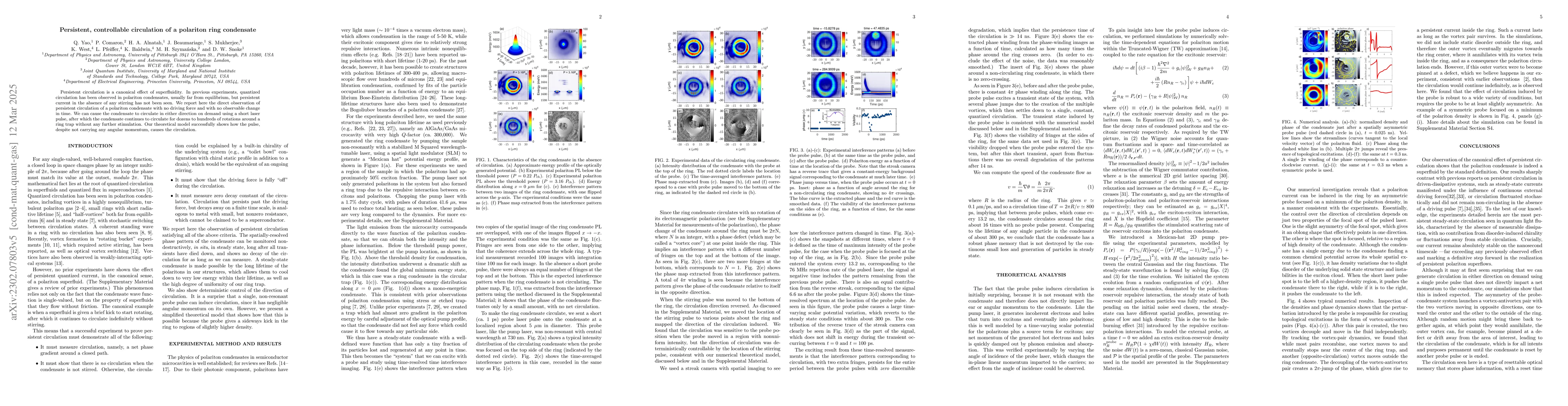 Thumbnail for Persistent, controllable circulation of a polariton ring condensate