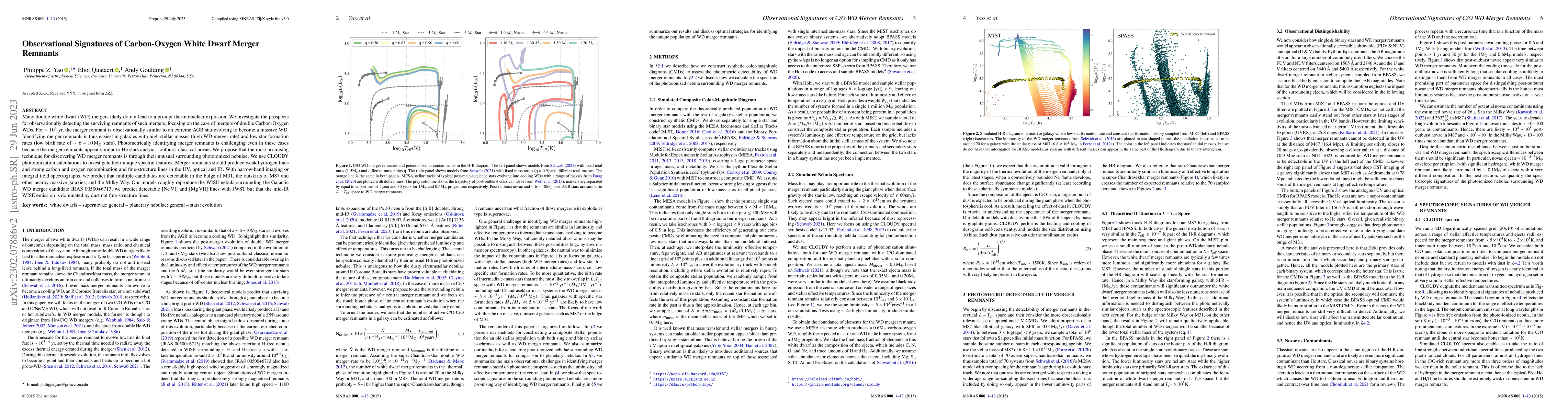 Thumbnail for Observational Signatures of Carbon-Oxygen White Dwarf Merger Remnants