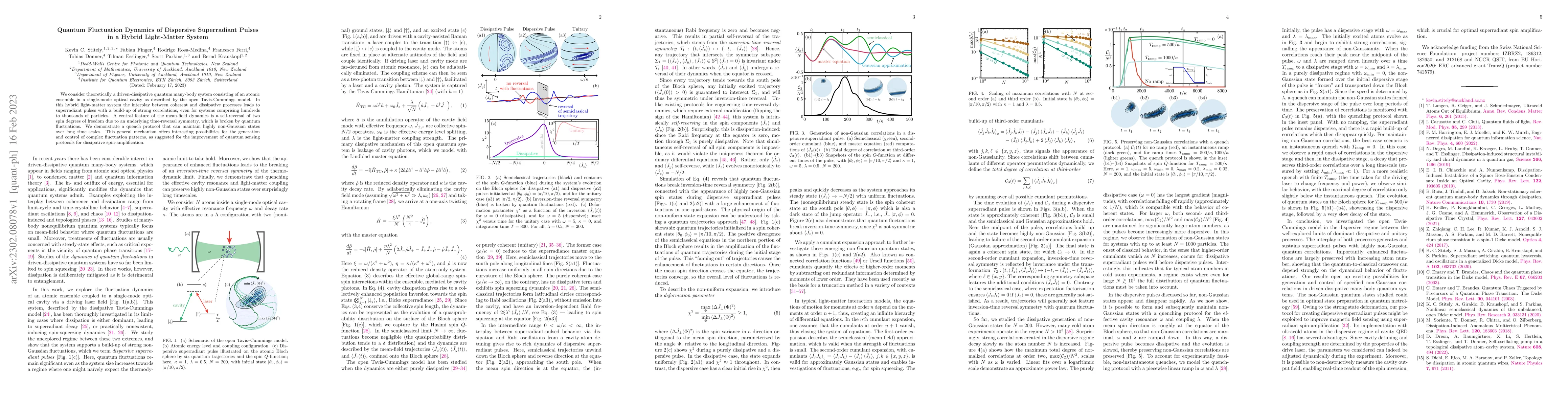 Thumbnail for Quantum Fluctuation Dynamics of Dispersive Superradiant Pulses in a
  Hybrid Light-Matter System