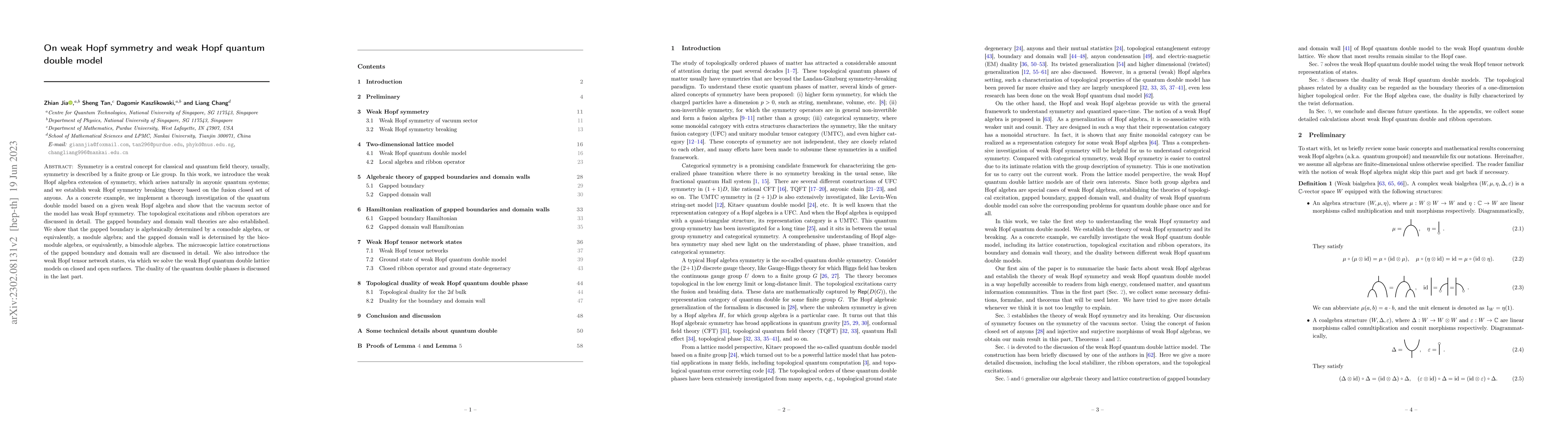 Thumbnail for On weak Hopf symmetry and weak Hopf quantum double model