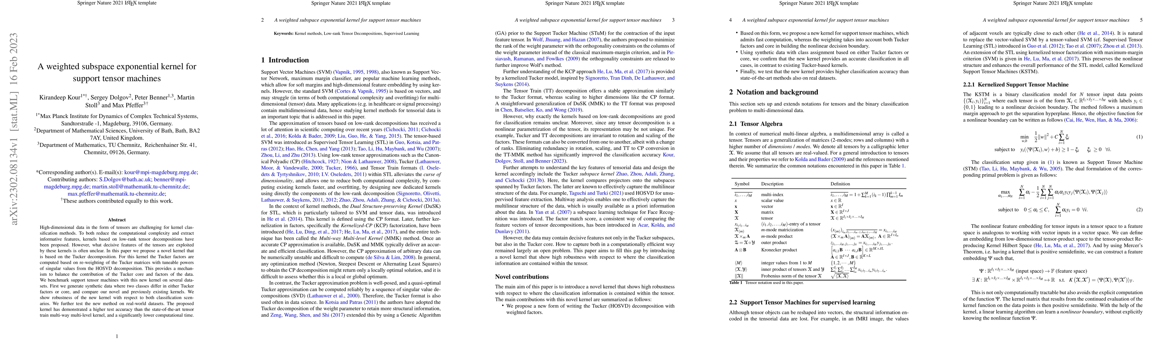 Thumbnail for A weighted subspace exponential kernel for support tensor machines