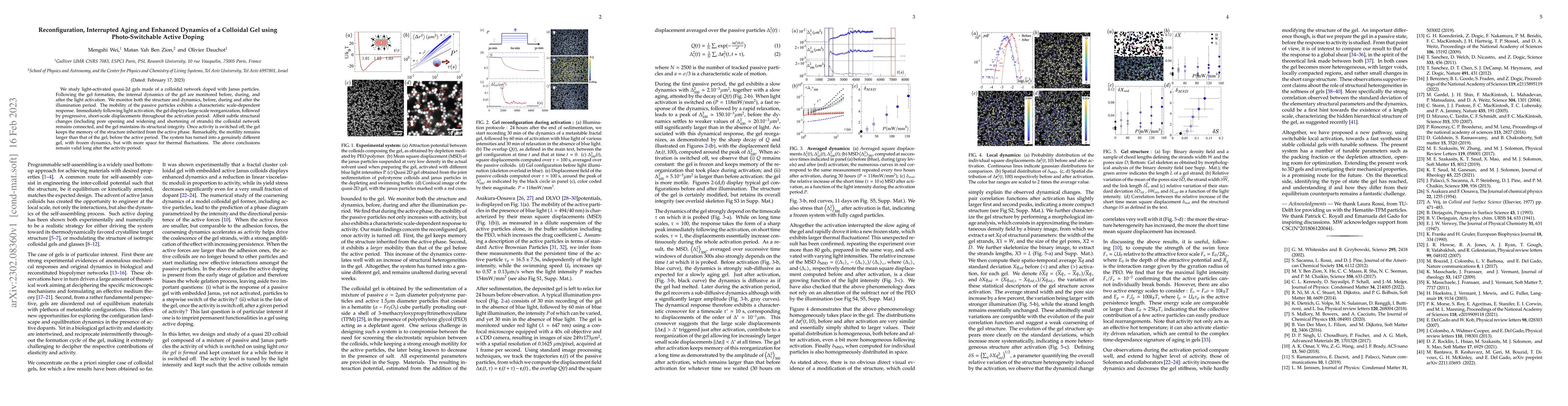 Thumbnail for Reconfiguration, Interrupted Aging and Enhanced Dynamics of a Colloidal
  Gel using Photo-Switchable Active Doping