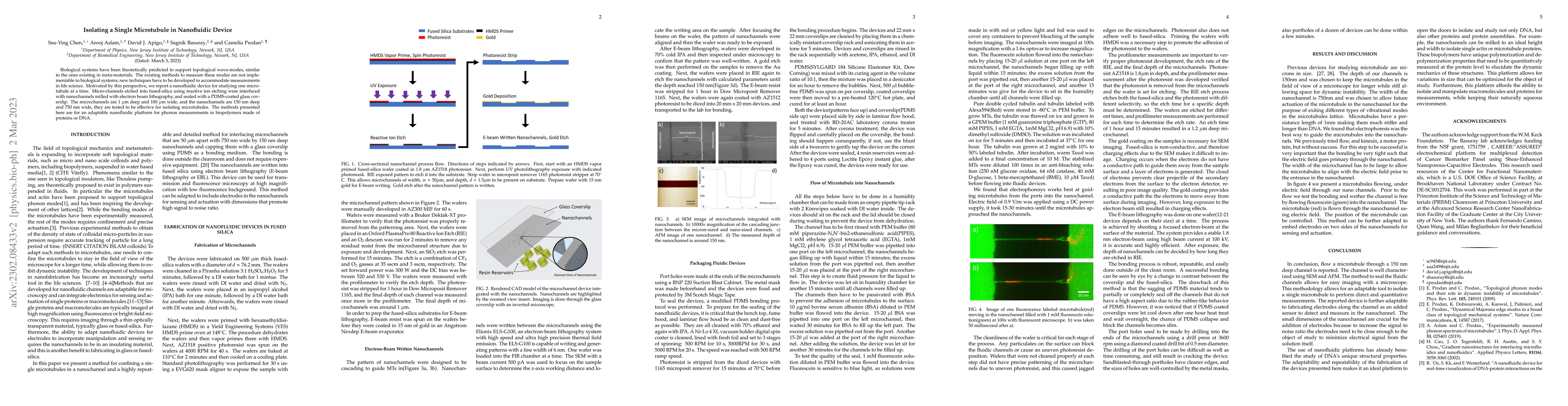 Thumbnail for Isolating a Single Microtubule in Nanofluidic Device