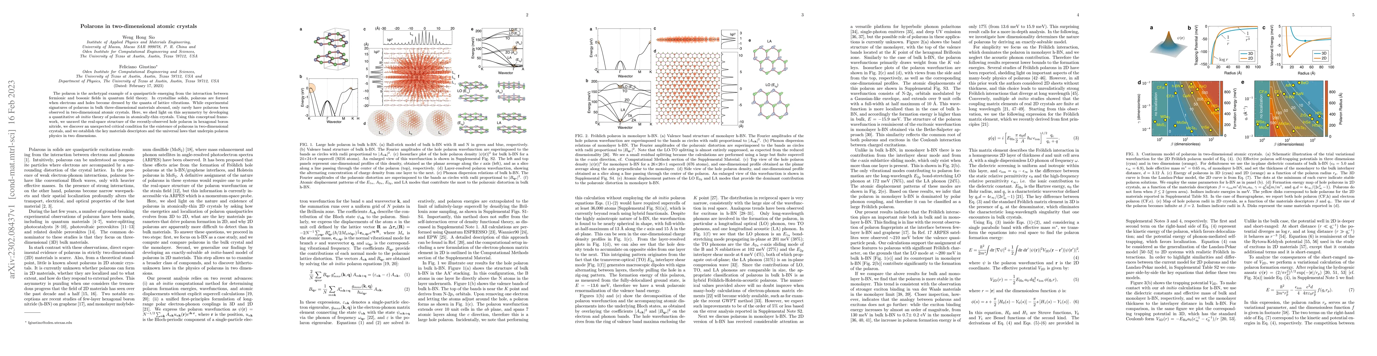 Thumbnail for Polarons in two-dimensional atomic crystals