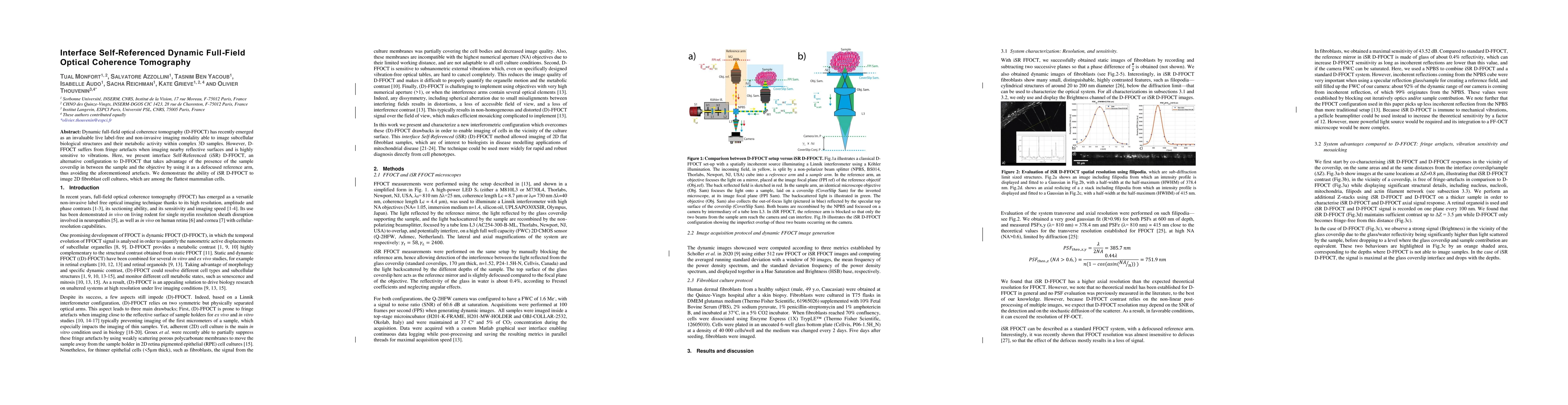 Thumbnail for Interface Self-Referenced Dynamic Full-Field Optical Coherence
  Tomography