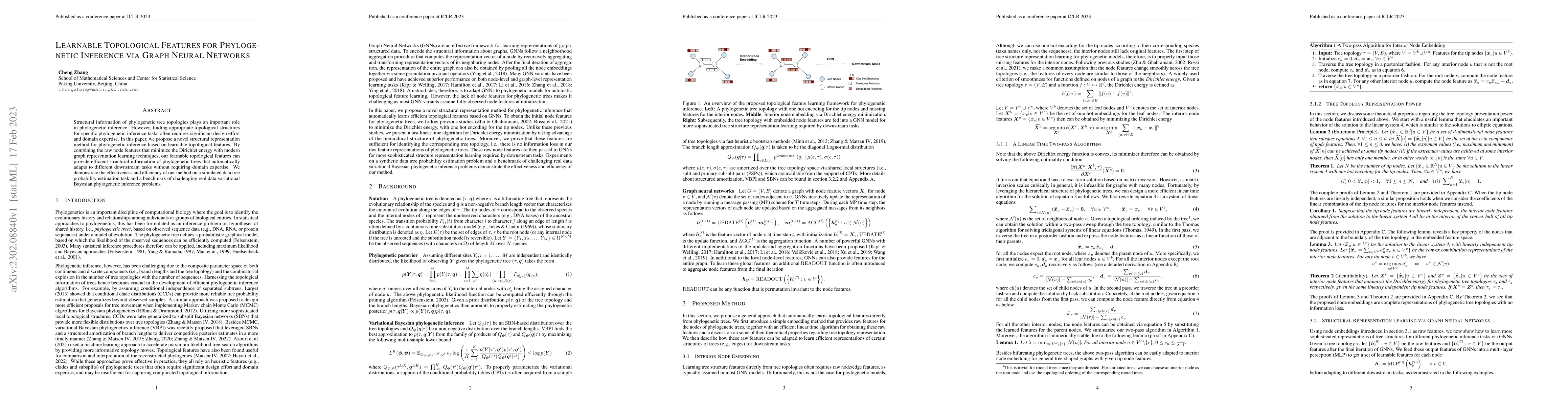 Thumbnail for Learnable Topological Features for Phylogenetic Inference via Graph
  Neural Networks