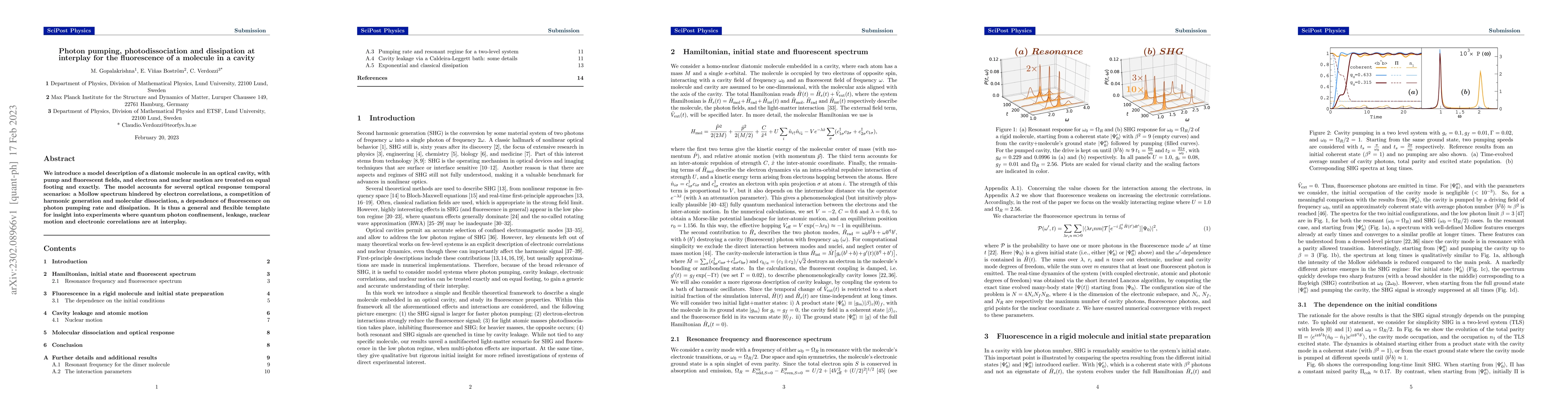 Thumbnail for Photon pumping, photodissociation and dissipation at interplay for the
  fluorescence of a molecule in a cavity