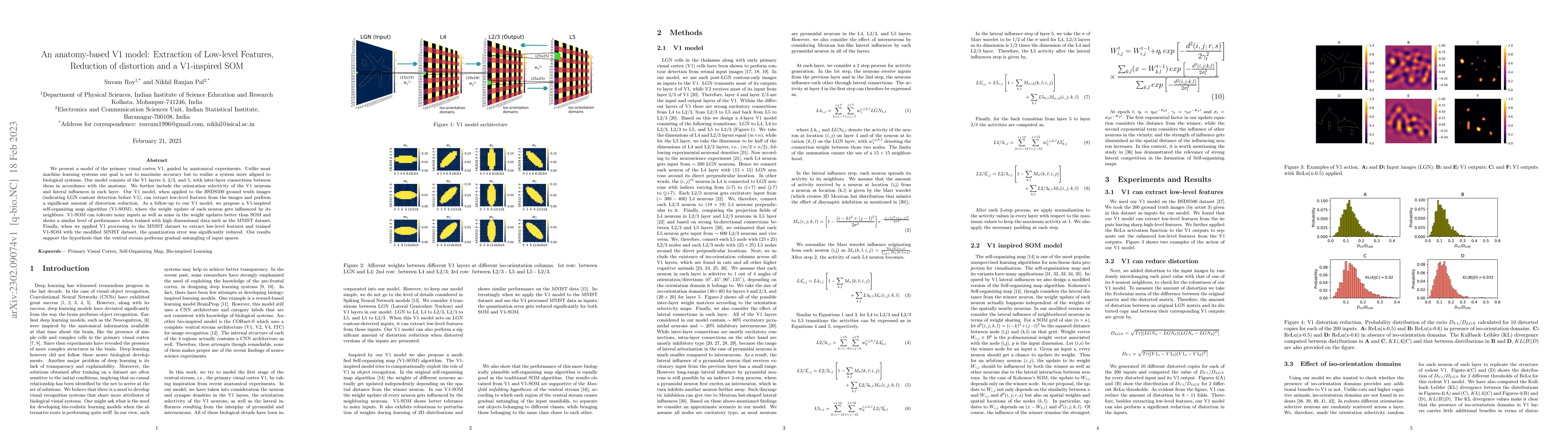 Thumbnail for An anatomy-based V1 model: Extraction of Low-level Features, Reduction
  of distortion and a V1-inspired SOM