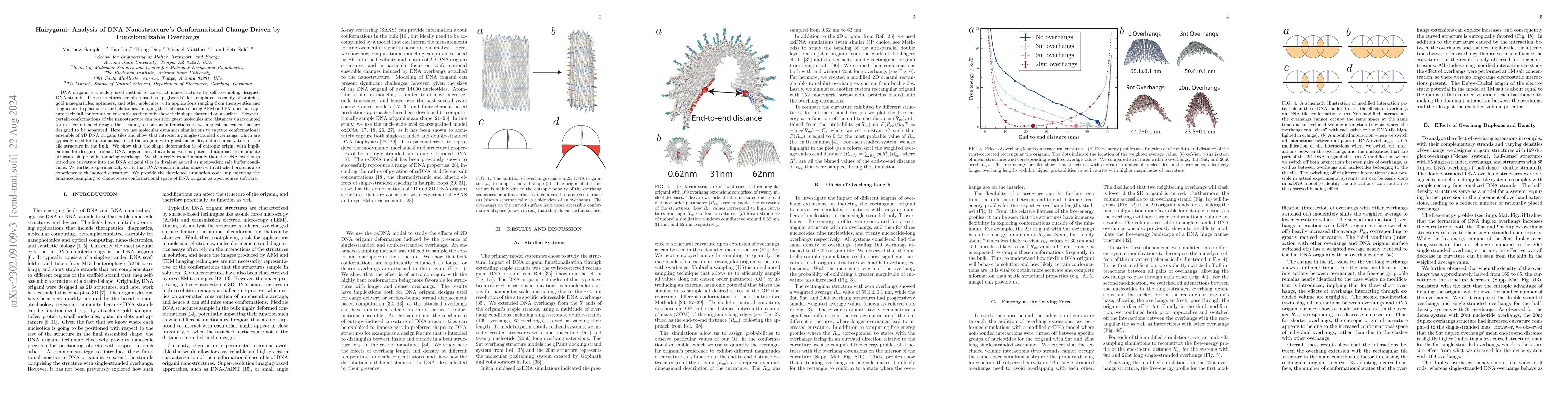 Thumbnail for Hairygami: Analysis of DNA Nanostructures' Conformational Change Driven
  by Functionalizable Overhangs