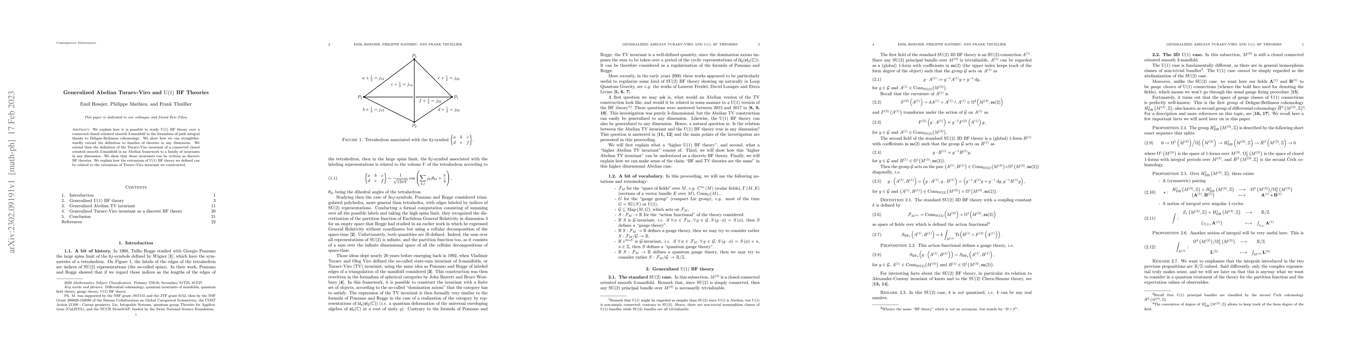 Thumbnail for Generalized Abelian Turaev-Viro and $\mathrm{U}\!\left(1\right)$ BF
  Theories