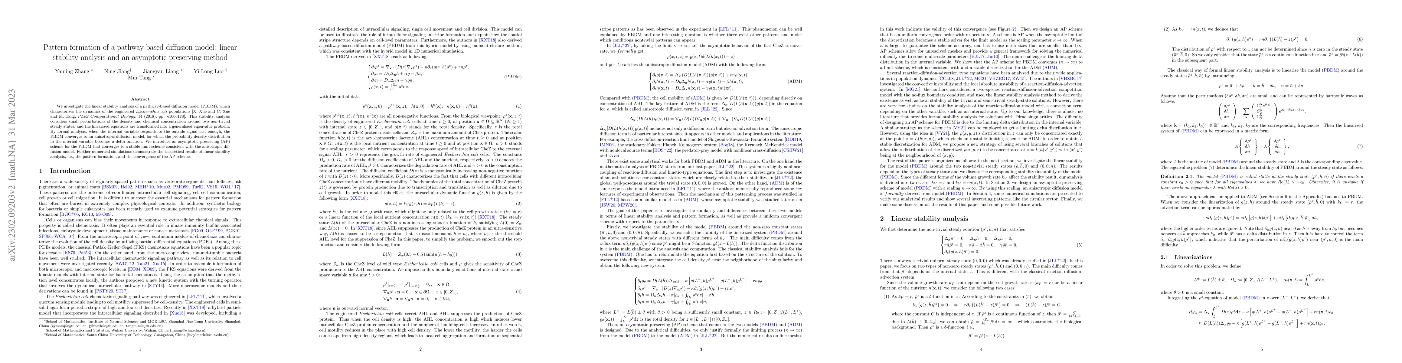Thumbnail for Pattern formation of a pathway-based diffusion model: linear stability
  analysis and an asymptotic preserving method