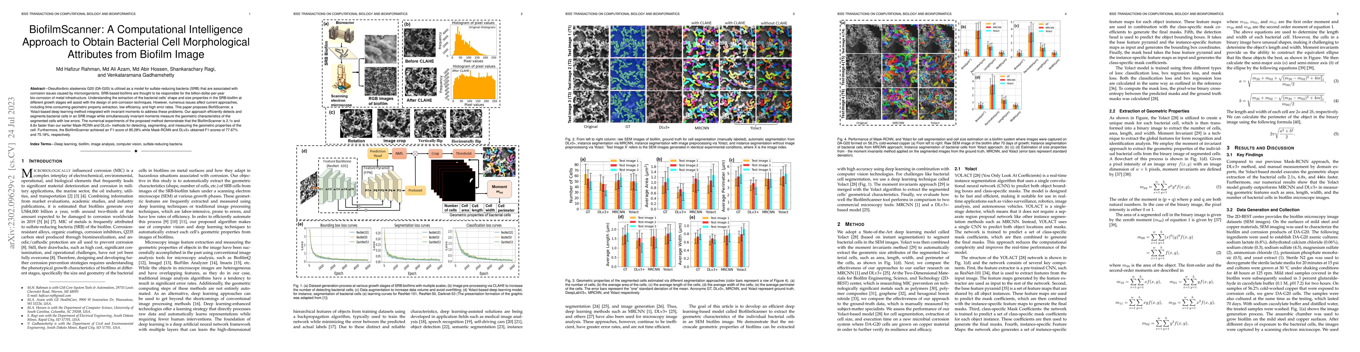 Thumbnail for BiofilmScanner: A Computational Intelligence Approach to Obtain
  Bacterial Cell Morphological Attributes from Biofilm Image