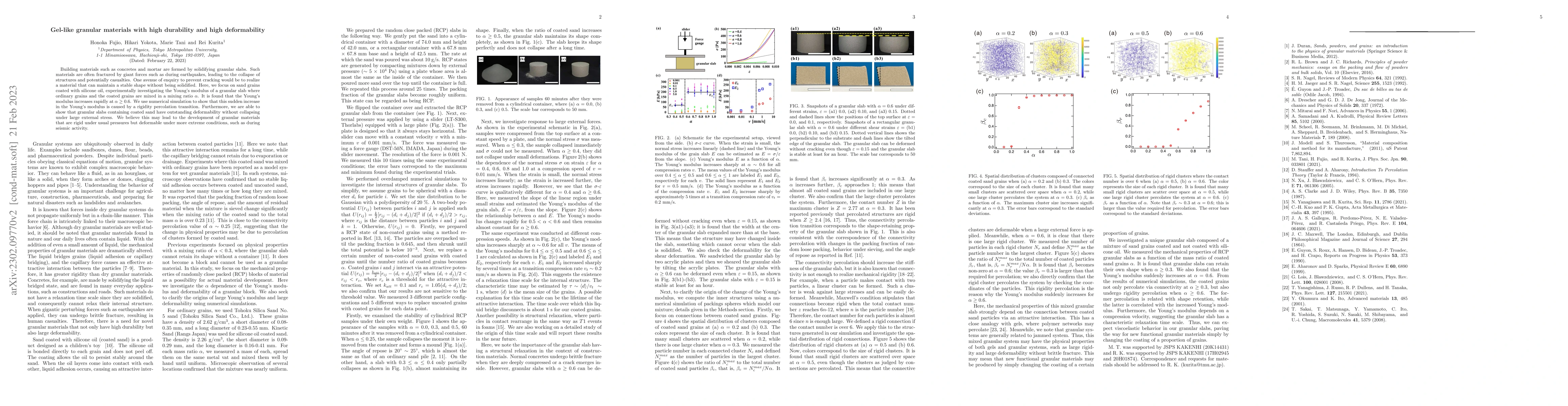 Thumbnail for Gel-like granular materials with high durability and high deformability