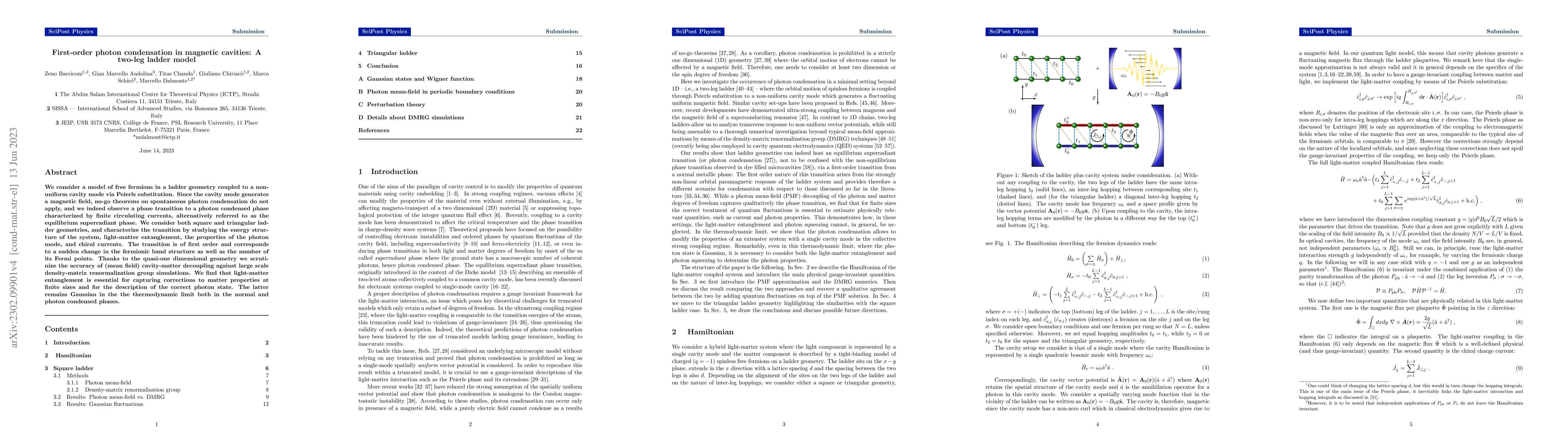 Thumbnail for First-order photon condensation in magnetic cavities: A two-leg ladder
  model