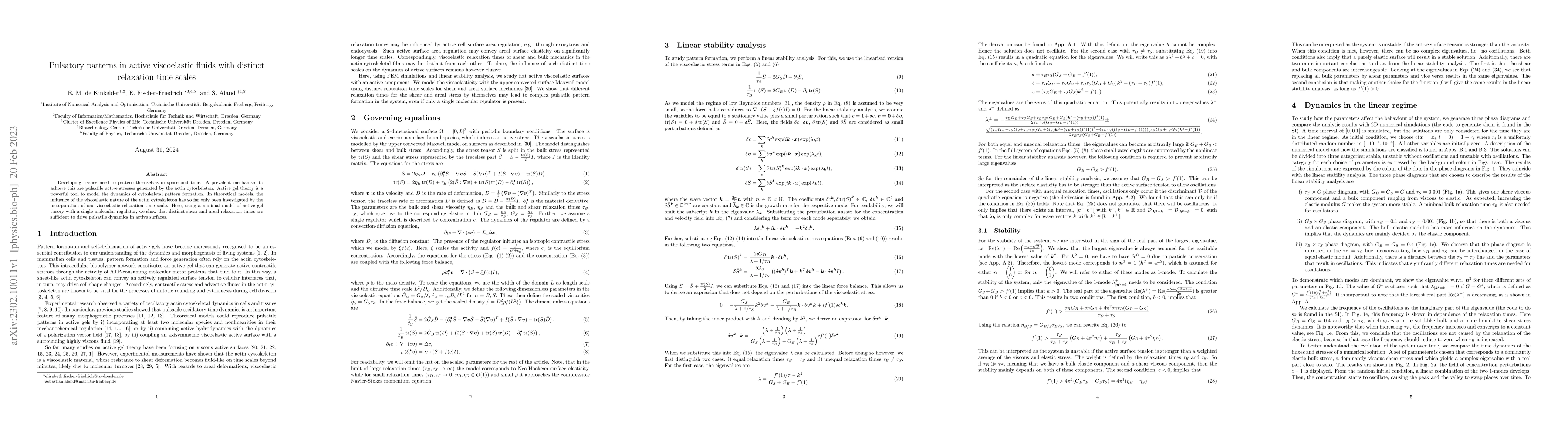 Thumbnail for Pulsatory patterns in active viscoelastic fluids with distinct
  relaxation time scales