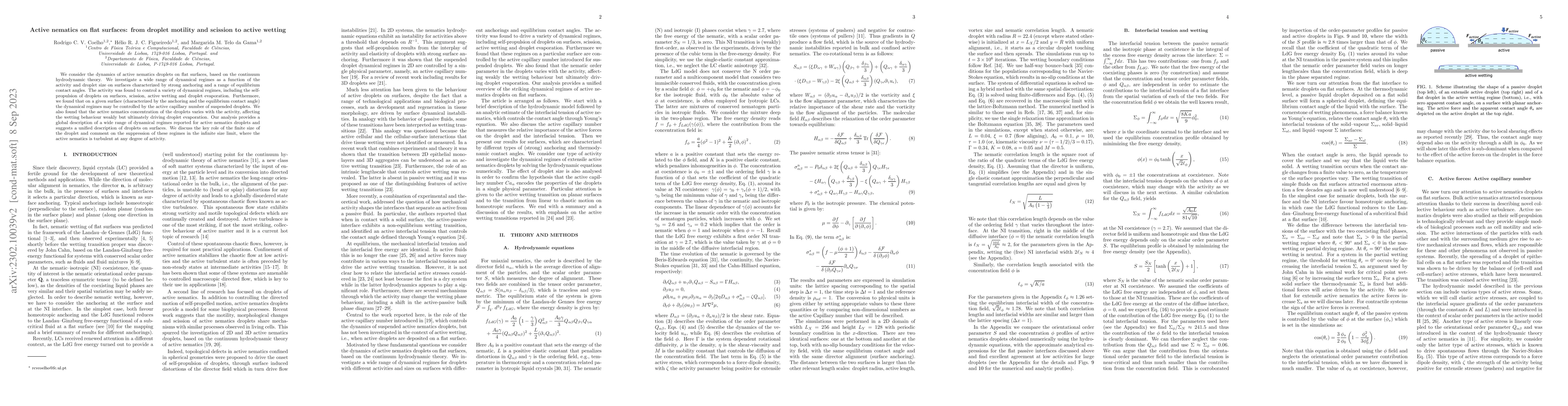 Thumbnail for Active nematics on flat surfaces: from droplet motility and scission to
  active wetting