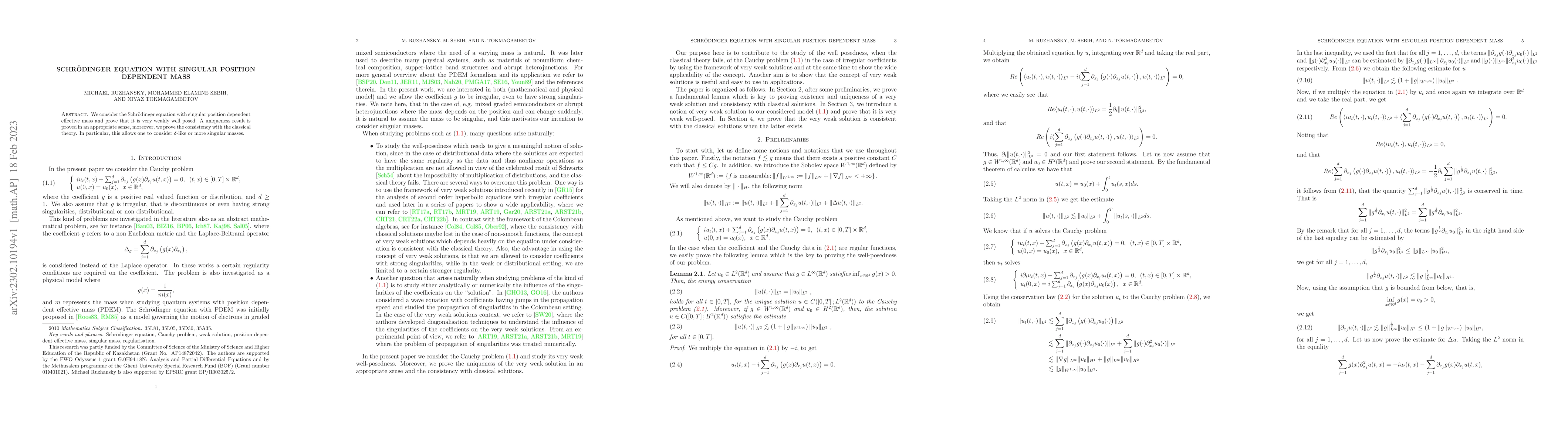 Thumbnail for Schr\"odinger equation with singular position dependent mass