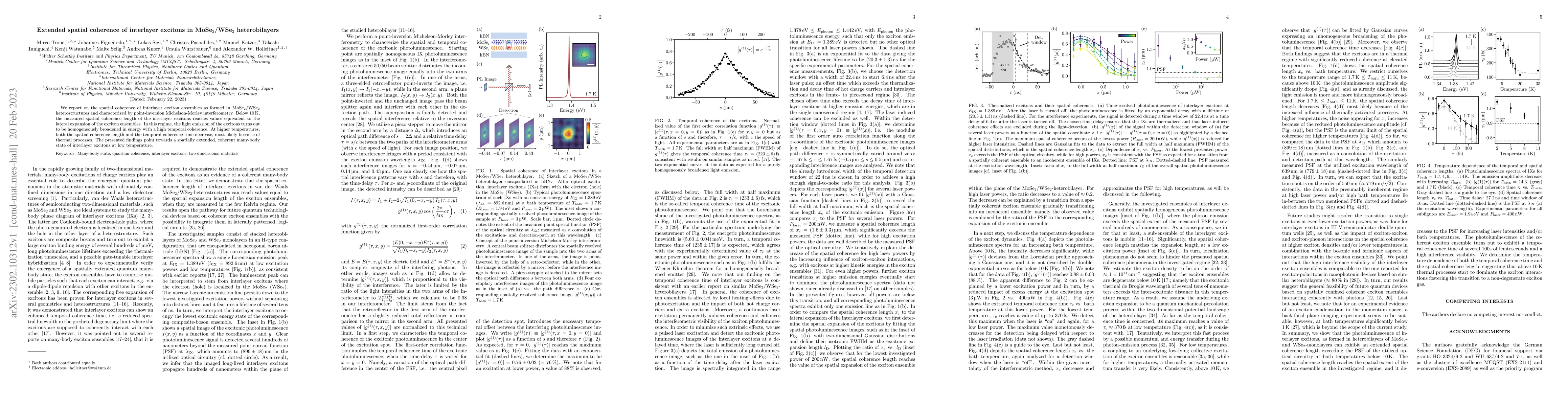 Thumbnail for Extended spatial coherence of interlayer excitons in MoSe$_2$/WSe$_2$
  heterobilayers