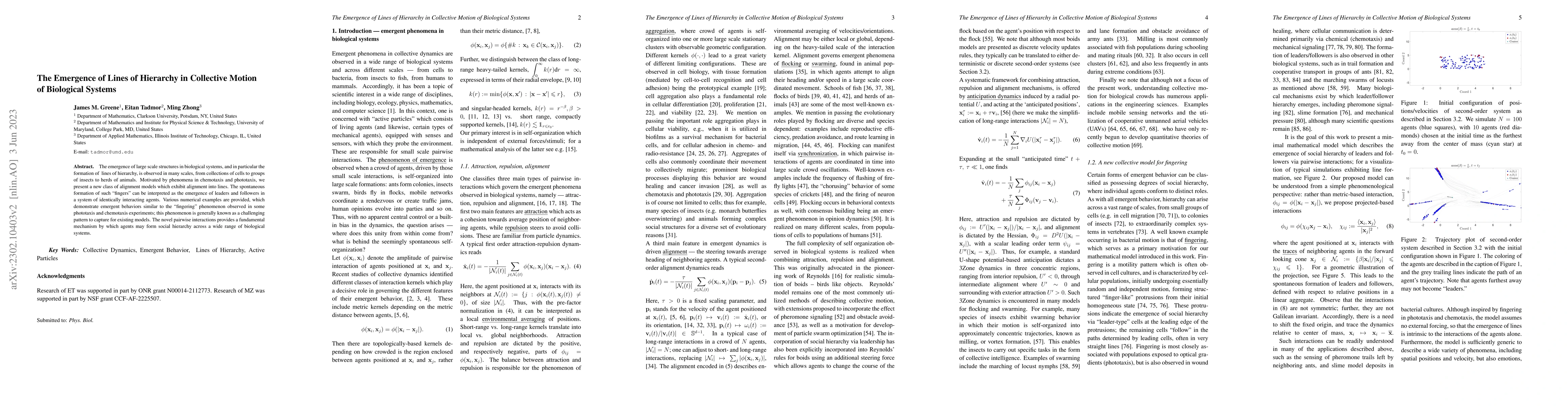 Thumbnail for The Emergence of Lines of Hierarchy in Collective Motion of Biological
  Systems