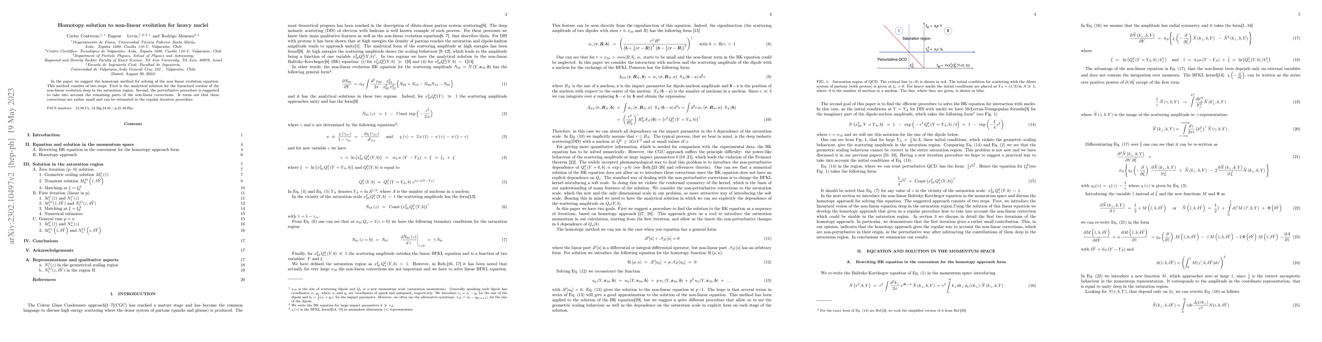 Thumbnail for Homotopy solution to non-linear evolution for heavy nuclei