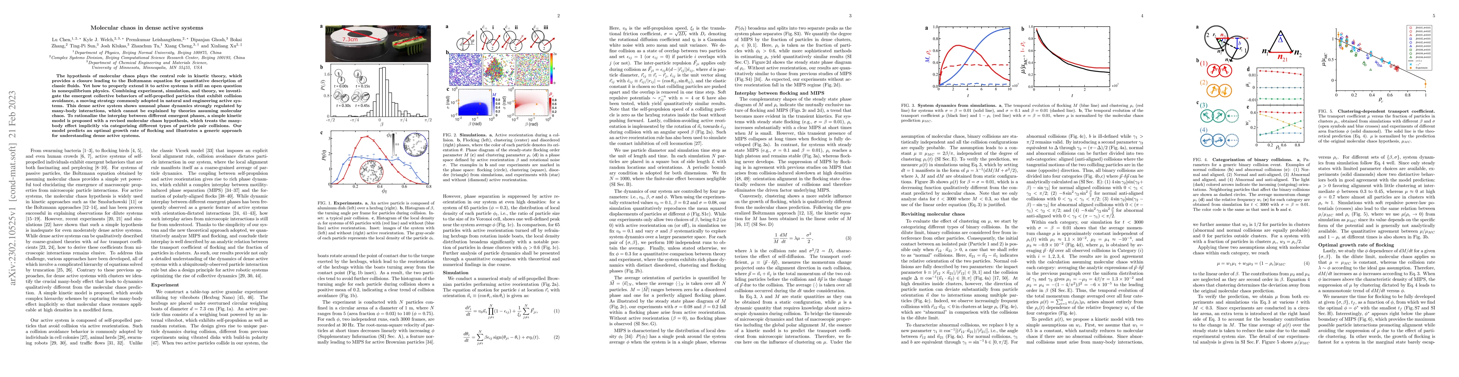 Thumbnail for Molecular chaos in dense active systems