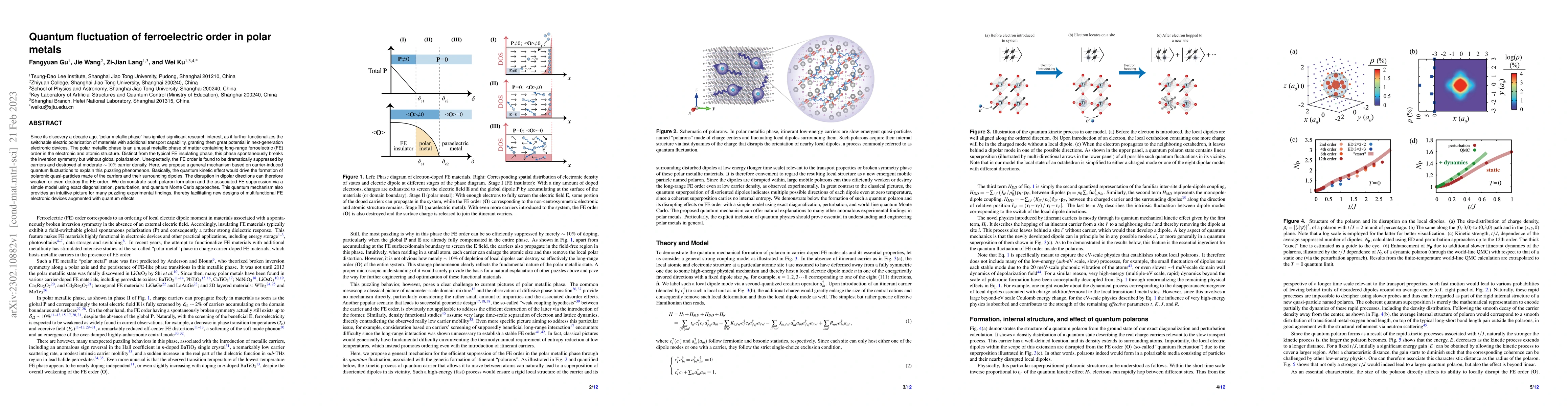 Thumbnail for Quantum fluctuation of ferroelectric order in polar metals