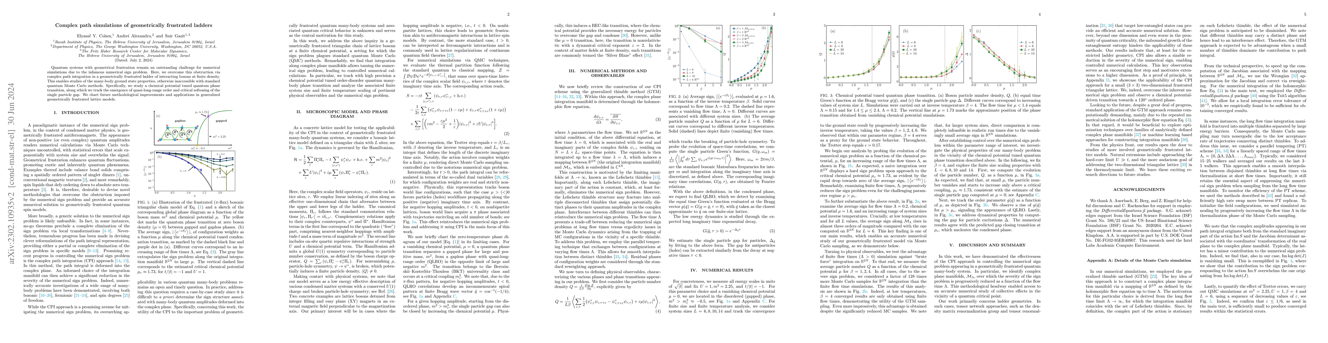 Thumbnail for Complex path simulations of geometrically frustrated ladders