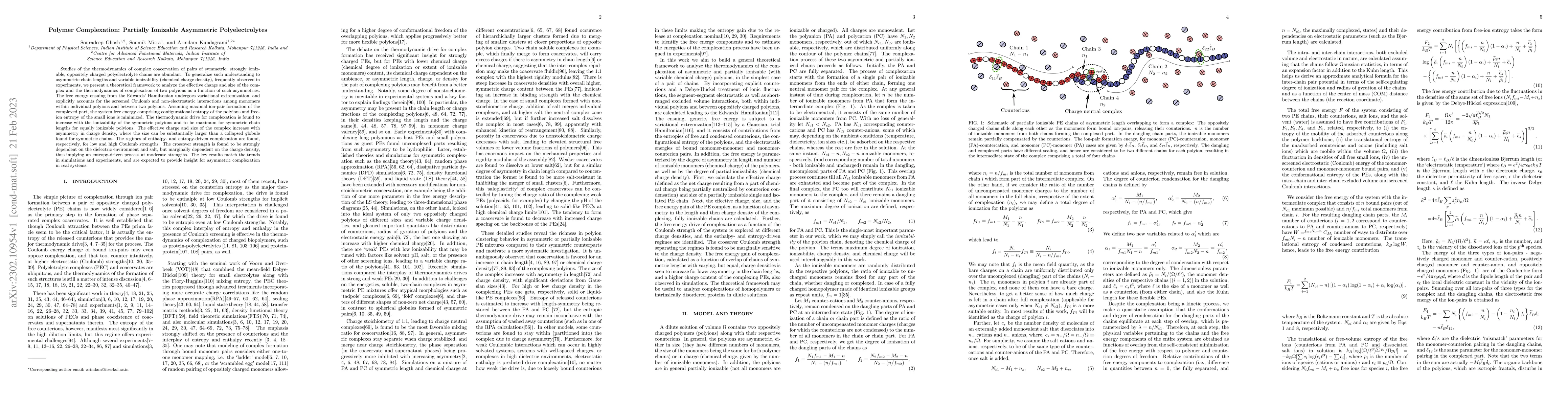 Thumbnail for Polymer Complexation: Partially Ionizable Asymmetric Polyelectrolytes