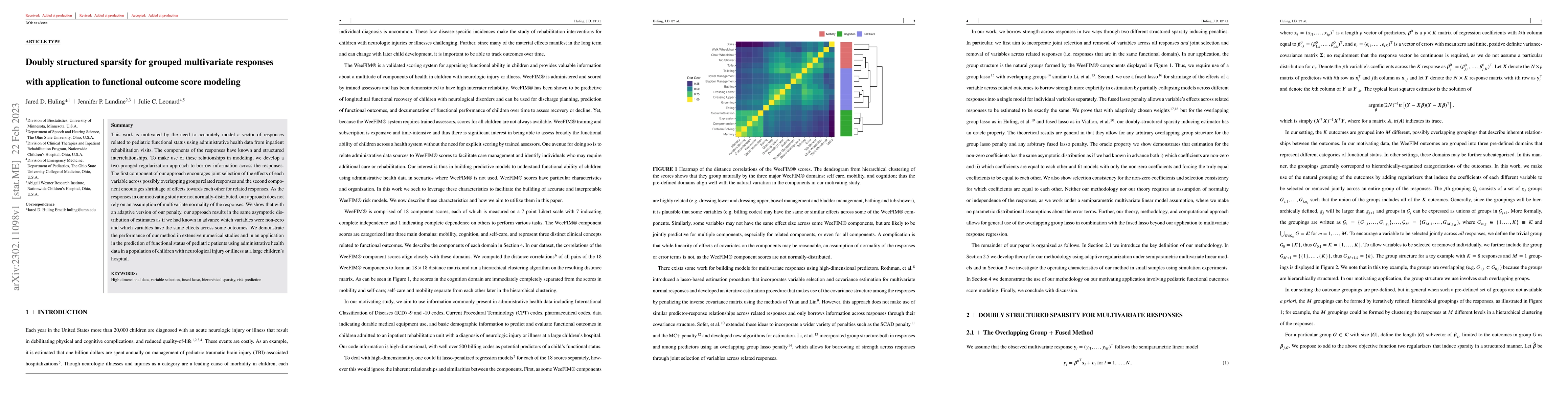 Thumbnail for Doubly structured sparsity for grouped multivariate responses with
  application to functional outcome score modeling