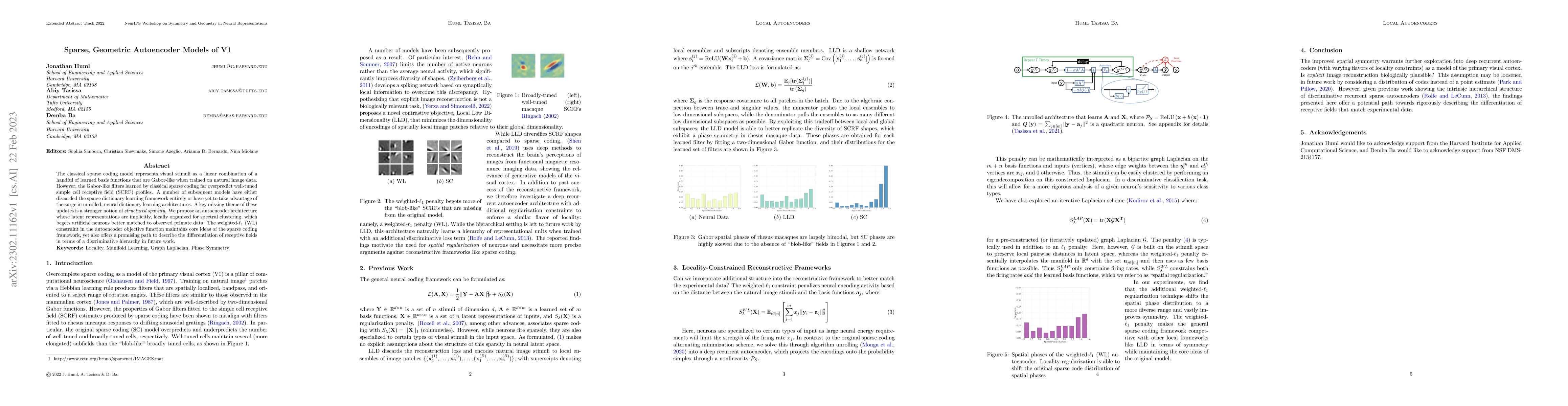 Thumbnail for Sparse, Geometric Autoencoder Models of V1