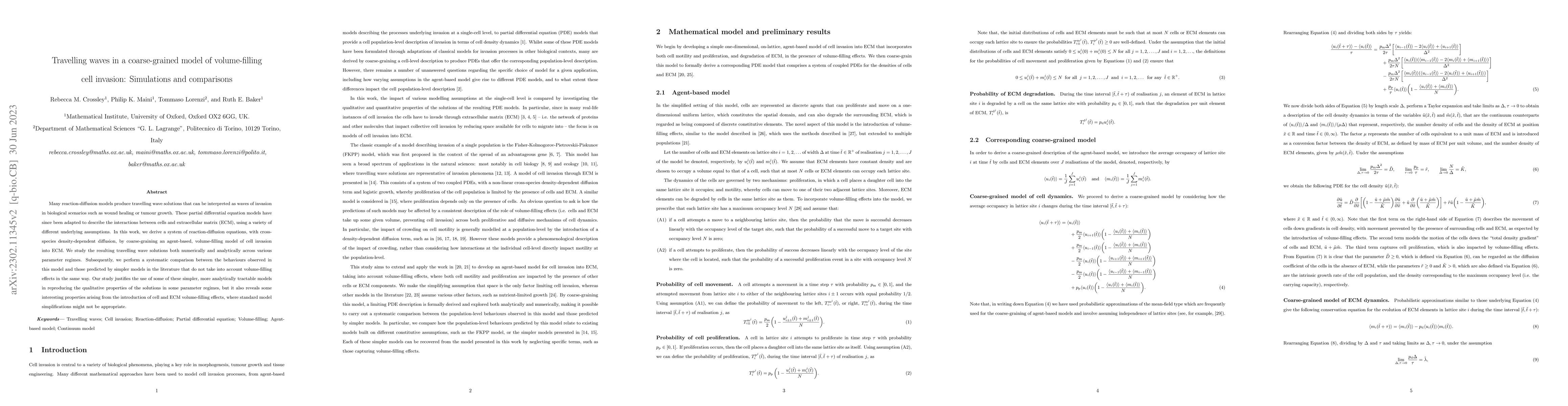Thumbnail for Travelling waves in a coarse-grained model of volume-filling cell
  invasion: Simulations and comparisons