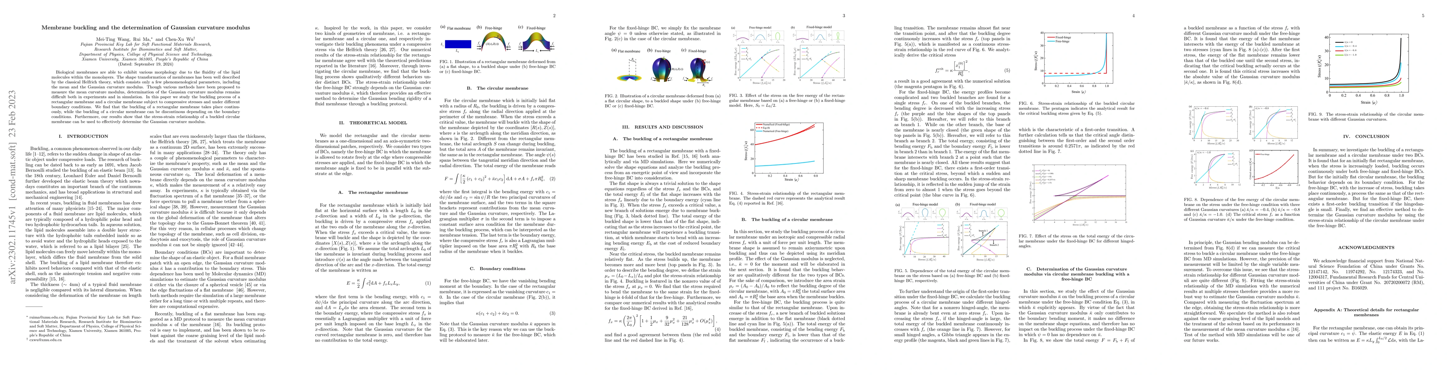 Thumbnail for Membrane buckling and the determination of Gaussian curvature modulus