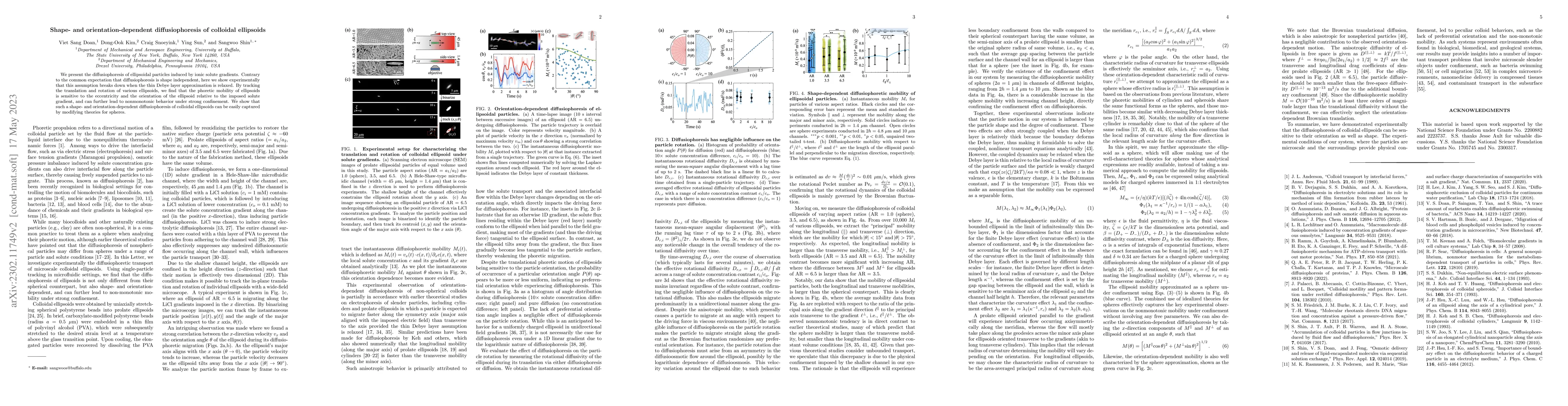 Thumbnail for Shape- and orientation-dependent diffusiophoresis of colloidal
  ellipsoids